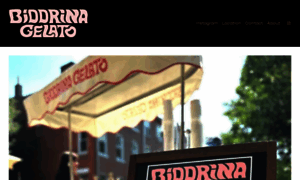 Biddrina.com thumbnail