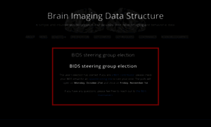 Bids.neuroimaging.io thumbnail