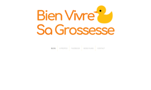 Bienvivresagrossesse.com thumbnail