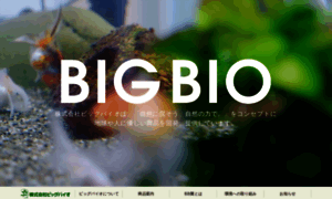 Big-bio.com thumbnail