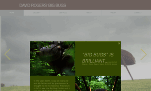 Big-bugs.com thumbnail