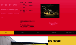 Big5gym.com thumbnail