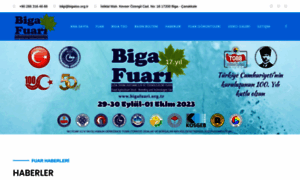 Bigafuari.org.tr thumbnail