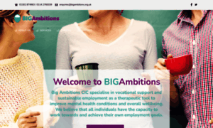 Bigambitions.org.uk thumbnail