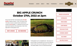 Bigapplecrunch.com thumbnail