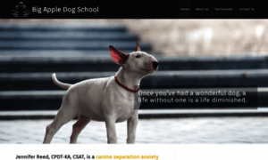 Bigappledogschool.com thumbnail