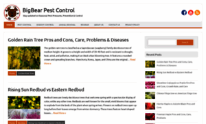 Bigbearpestcontrol.com thumbnail