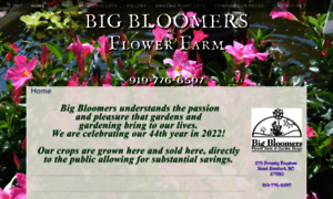 Bigbloomersflowerfarm.com thumbnail