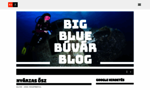Bigblue.reblog.hu thumbnail