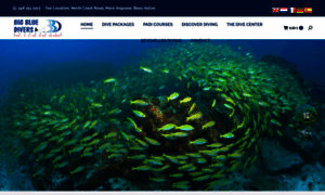 Bigbluedivers.net thumbnail