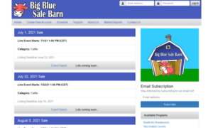 Bigbluesalebarn.com thumbnail