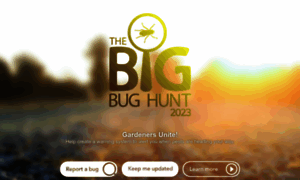 Bigbughunt.com thumbnail