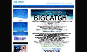 Bigcatch.biz thumbnail