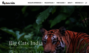 Bigcatsindia.com thumbnail