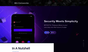 Bigdataworks.com.my thumbnail