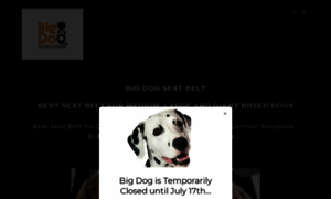 Bigdogseatbeltcompany.com thumbnail