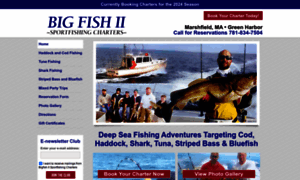 Bigfishcharters.com thumbnail