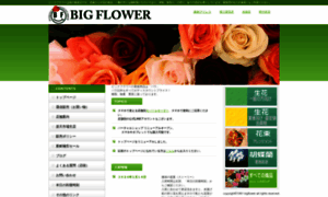 Bigflower.co.jp thumbnail