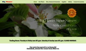 Bigflower.com.au thumbnail