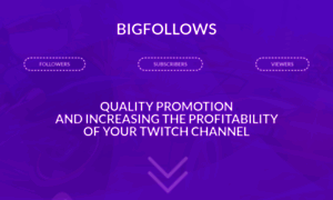 Bigfollows.com thumbnail