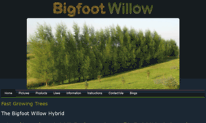 Bigfootwillow.com thumbnail