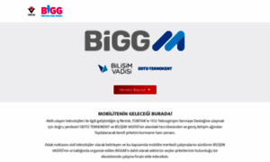 Bigg-m.com thumbnail