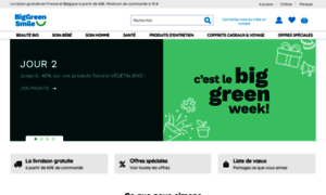 Biggreensmile.fr thumbnail