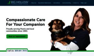 Bighollowcompanionanimalhospital.com thumbnail