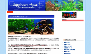 Biginners-aqua.com thumbnail