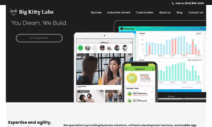 Bigkittylabs.com thumbnail