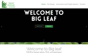 Bigleaf.com.au thumbnail