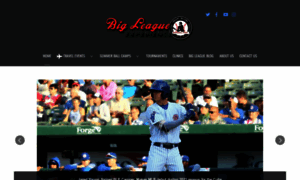 Bigleagueexperience.com thumbnail