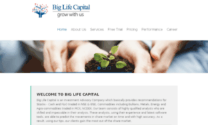Biglifecapital.com thumbnail