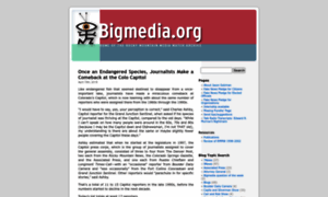 Bigmedia.org thumbnail