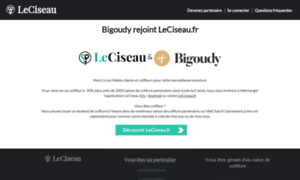 Bigoudy.fr thumbnail