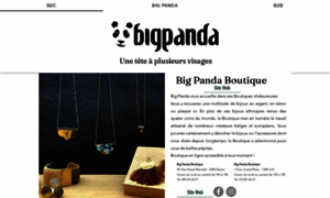 Bigpanda.be thumbnail