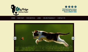 Bigridgevet.com thumbnail