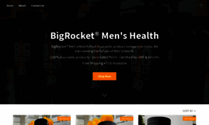 Bigrocketindia.company.site thumbnail