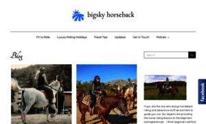 Bigskyhorseback.com thumbnail