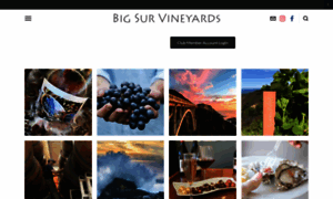 Bigsurvineyards.com thumbnail