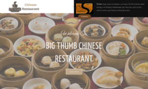 Bigthumbchineserestaurant.co.nz thumbnail