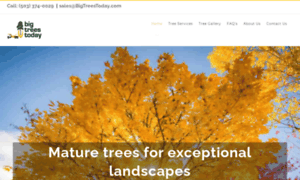 Bigtreestoday.com thumbnail