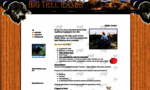 Bigtreewaterbuffalo.com thumbnail