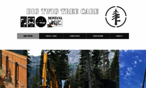 Bigtwigtreecare.com thumbnail