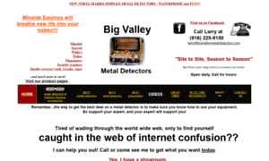 Bigvalleymetaldetectors.com thumbnail