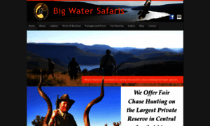 Bigwatersafaris.com thumbnail