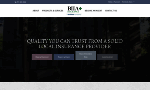 Biiainsurance.com thumbnail