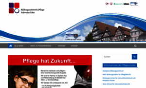 Bildungsnetzwerk-pflege.de thumbnail