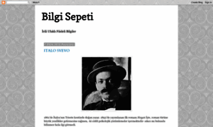 Bilgi-sepeti.blogspot.com thumbnail