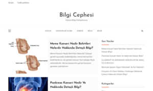 Bilgicephesi.com thumbnail